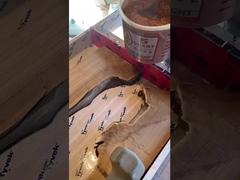 Сияющий блеск в глубокой смоле